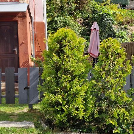 Park Apartment كاوناس المظهر الخارجي الصورة